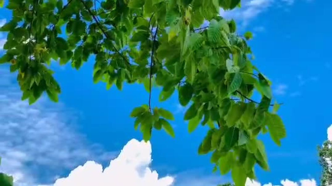 ⁣I feel it this music 🎵 Sad Status