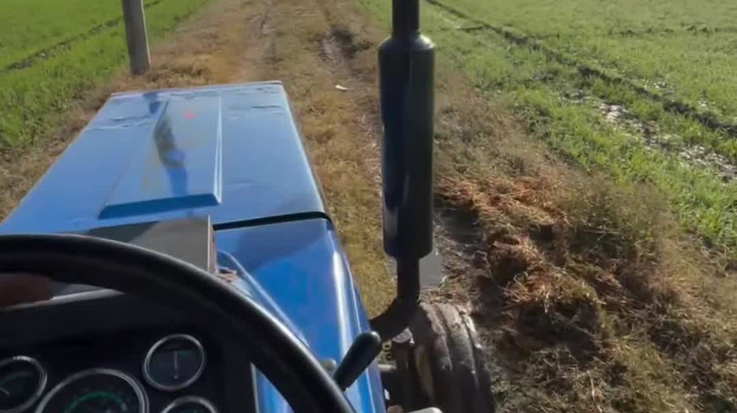 VID_20251228_031650_164