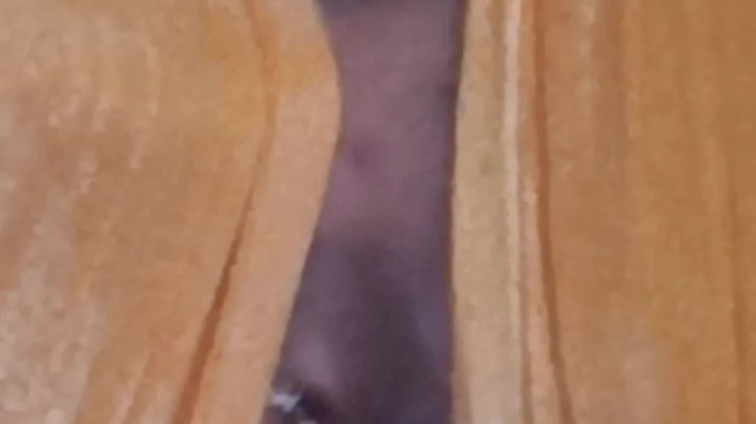 ⁣rishikesh_kushwaha_offical-20251212-0001