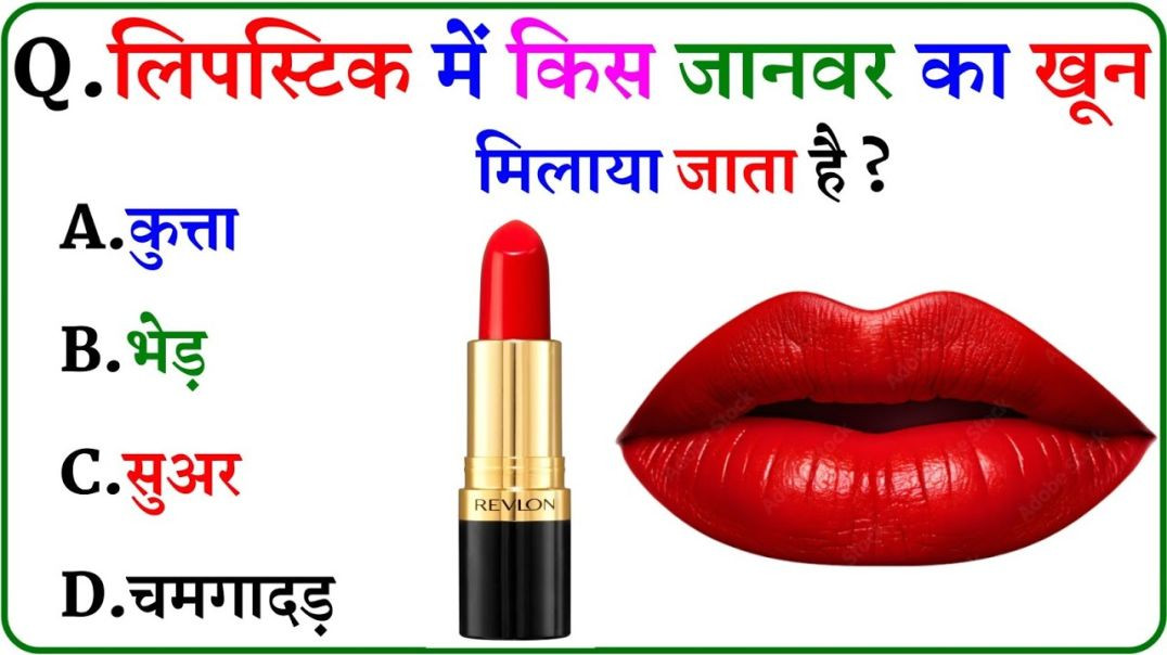 GK_Question_GK_In_Hindi_GK_Question_and_Answer_GK_Quiz_720P