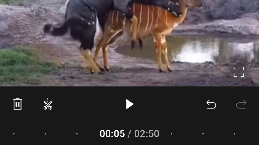 ⁣Amazing animal full masti 👍#amazinganimal#RajuDa