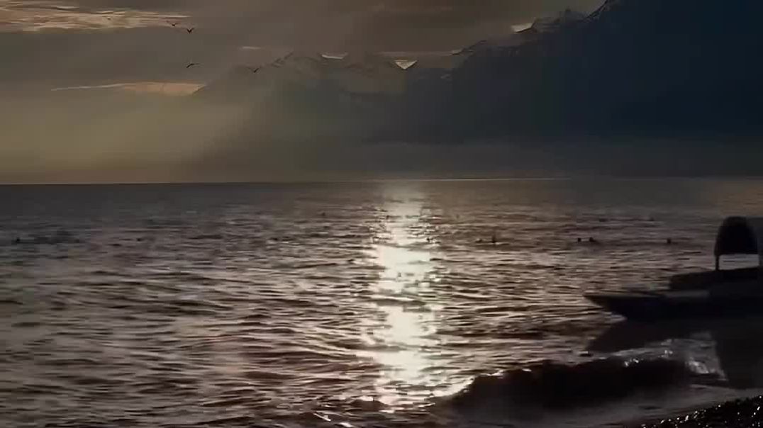 2025-11-28-122447925