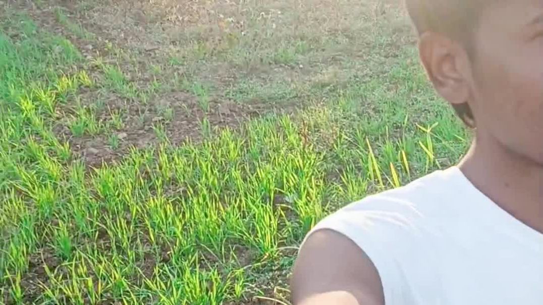 ⁣New chal new shuruvat