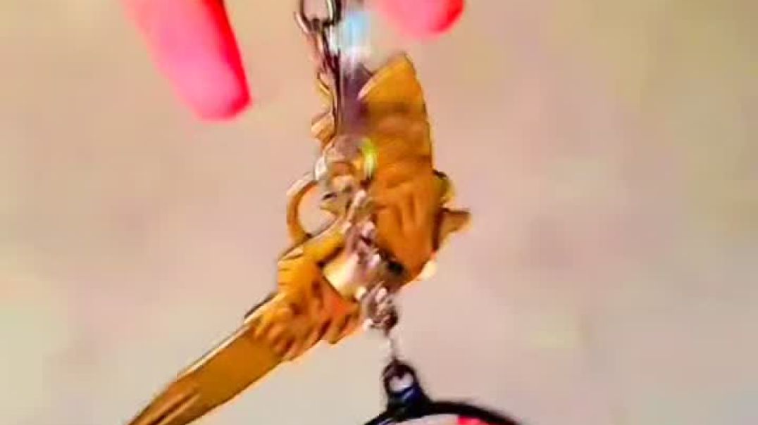 FB_VID_2600460214211908868