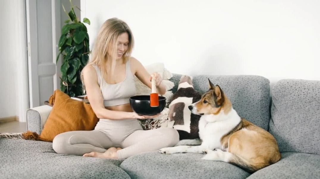 ⁣Relaxing Music For Dogs