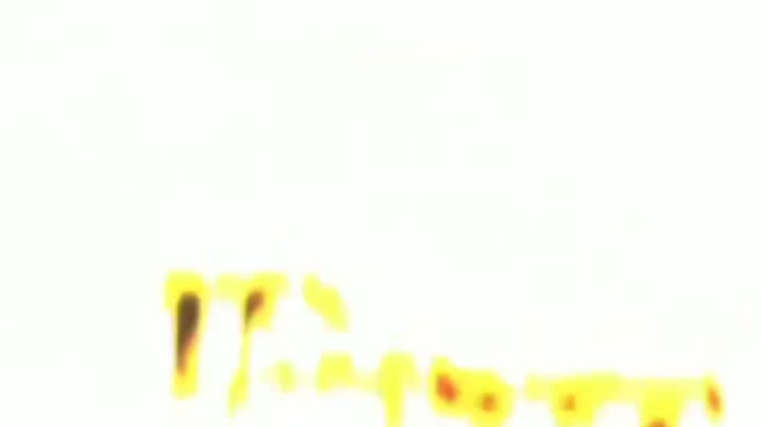 VID_20250511_094621_475