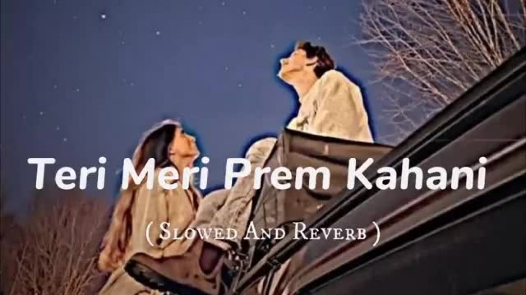 ⁣Teri Meri Prem Kahani Slowed-Reverb __ Bodyguard __