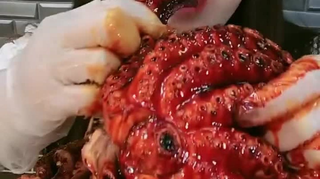 AQOASVeCciHWHHeNXsMWAWvCGmWpJ8XO6TXAa1gXeHQNzEfM-L-QTVyCqzCjUJQZQCFjcpA3dZ_cQlhTpKjg_00ZimugGZHoQkUo