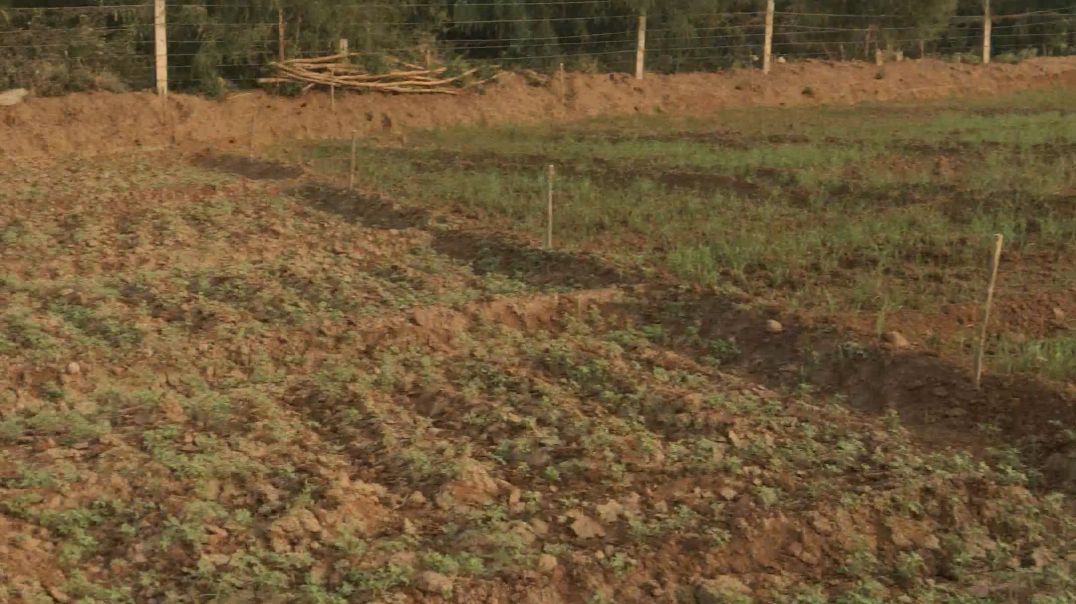 video_20251201_164715