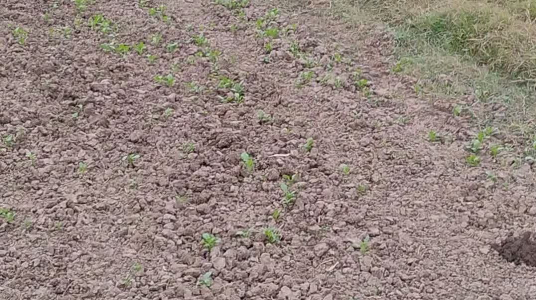 ⁣Beautiful scenery in india