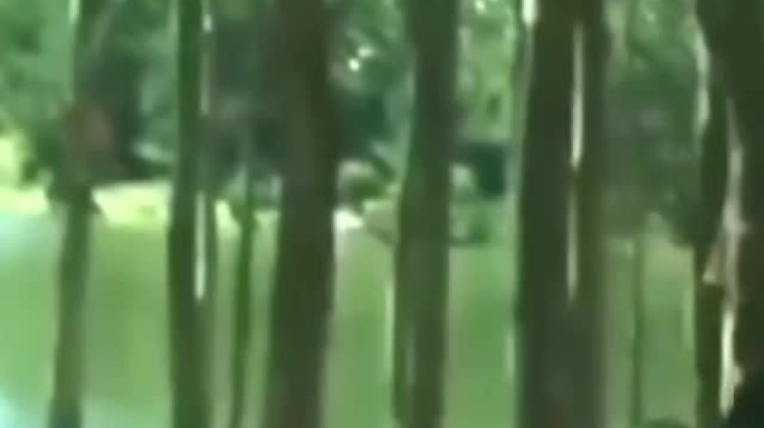 ⁣Jina tere gali me