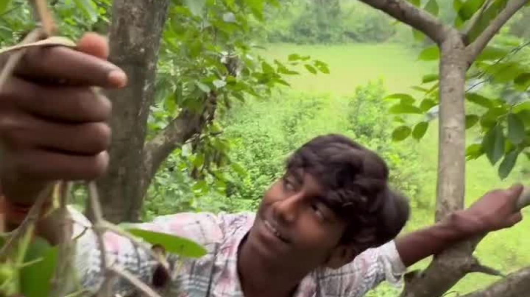 ⁣Comedy video #comediy #funny #vital _tredigs #video