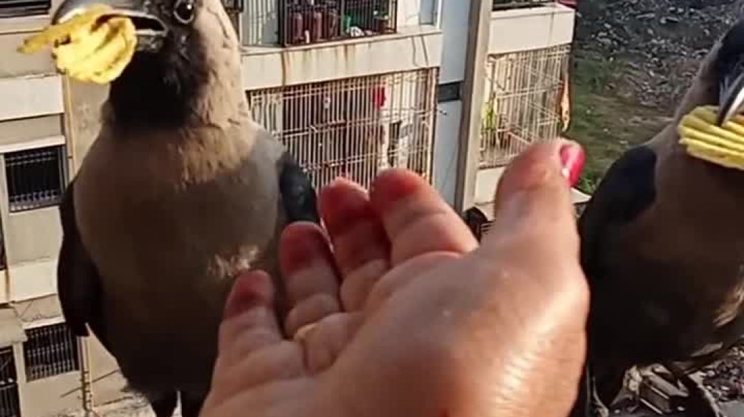 ⁣Mohabbat mein Badi takat hoti hai