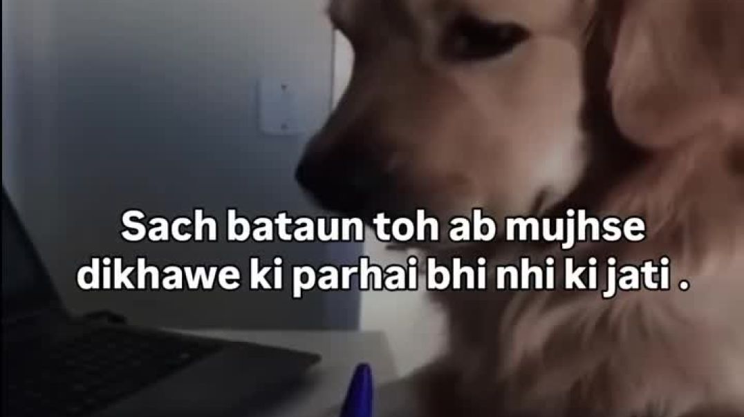 ⁣Ab Nhi Hota Bhai 😅