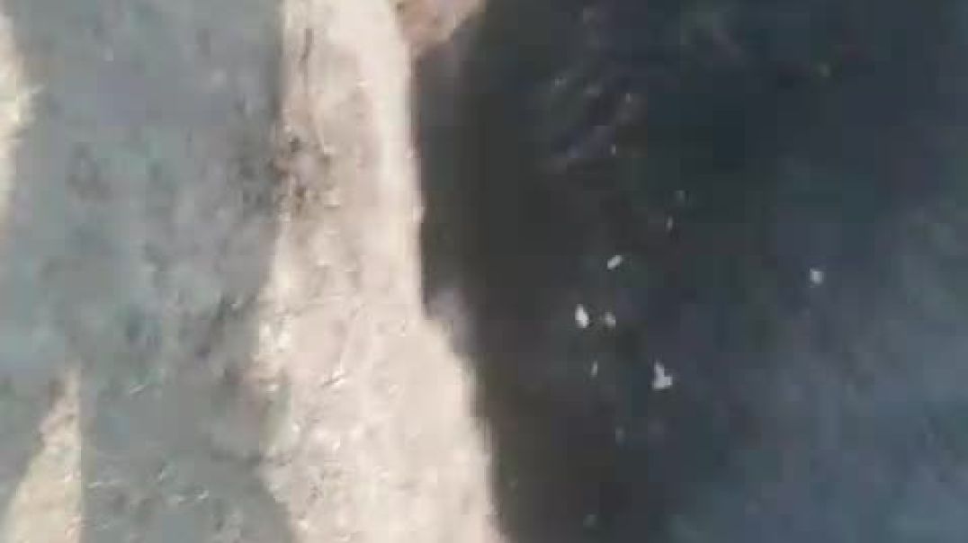 ⁣VID-20251118-WA0001