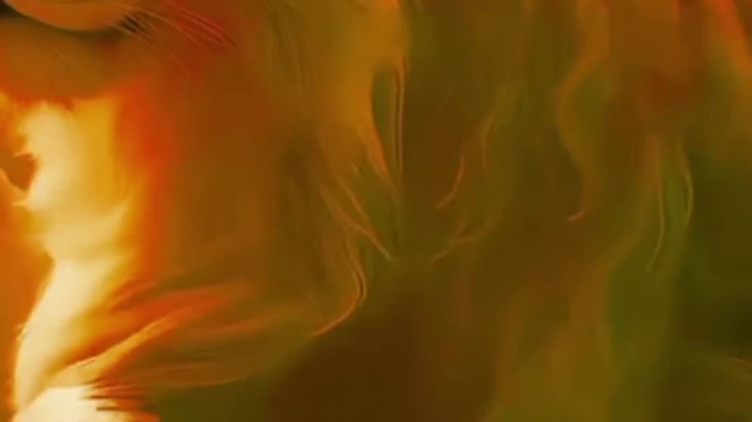 VID_20251211_043050_942