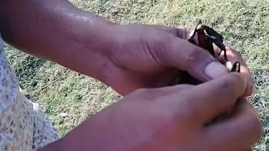 video_20251207_145124