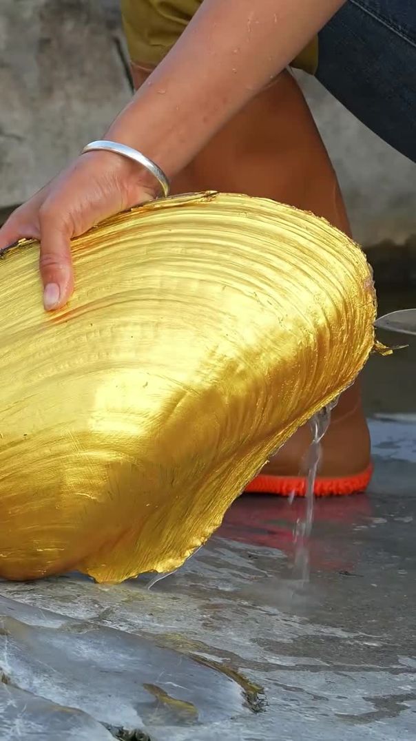 Moti dene wala ship #shortvideo #clipovideo #trendingvideo