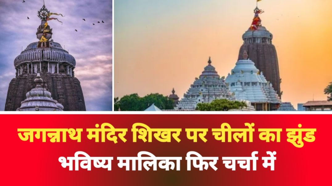 ⁣जगन्नाथ मंदिर के शिखर पर चीलों के झुंड का वीडियो वायरल ! भविष्य मालिका की भविष्यवाणियां फिर चर्चा मे