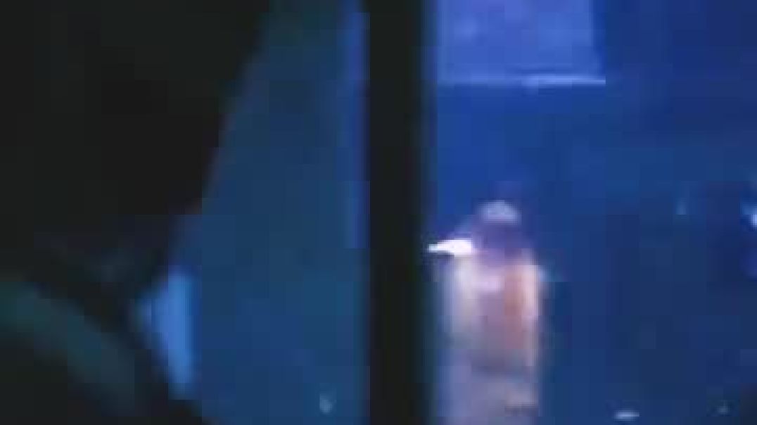 ⁣The_boy_found_the_water_monster_s_egg_🥚_#shorts(360p)