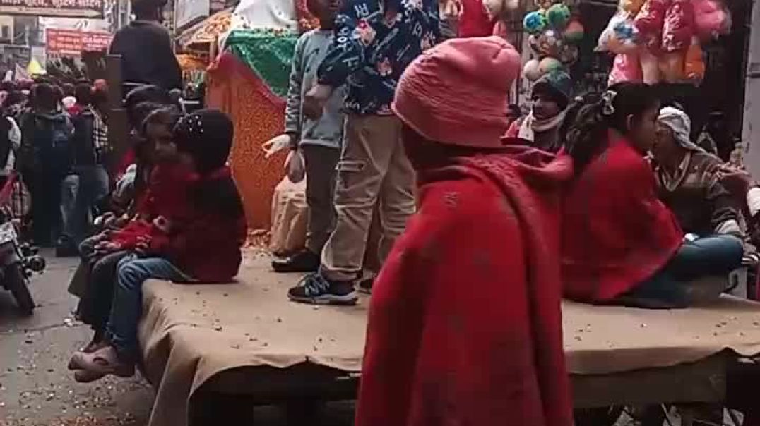 ⁣Sai Mandir se Nikalti Hai Dhampur Mein ko Pal Ki Shahi paalki