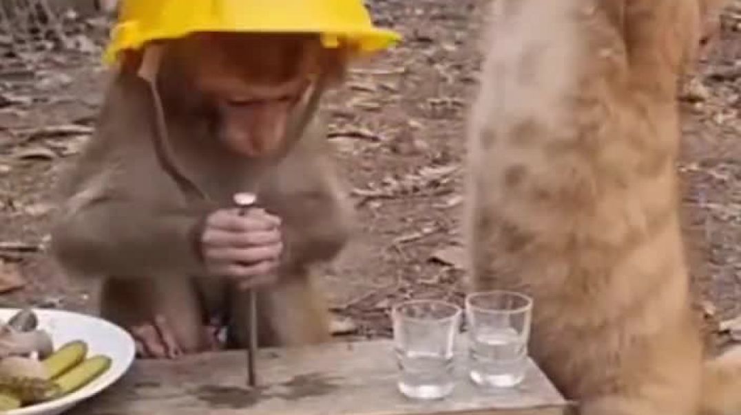 ⁣VID-20251222-WA0037