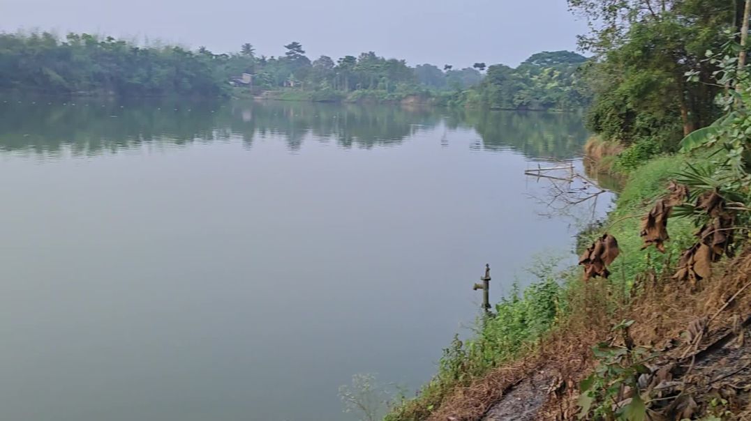 video_20251129_162044