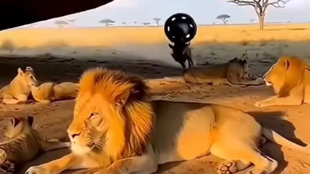 YouCut_20251208_010518107