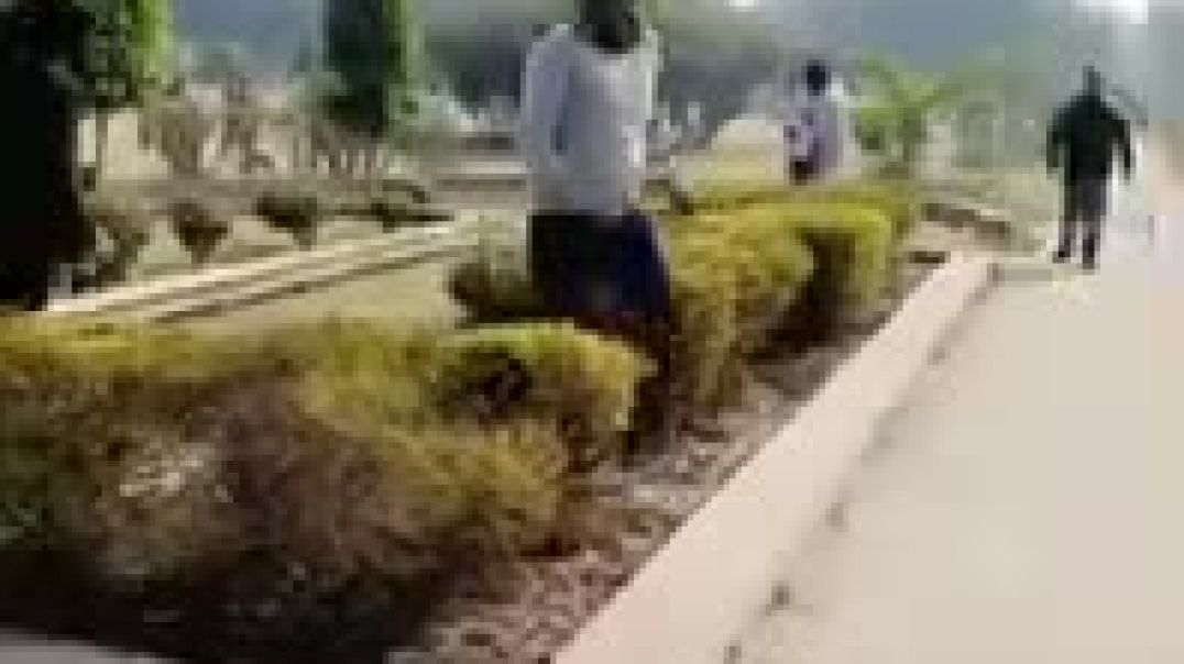 ⁣videoplayback-121