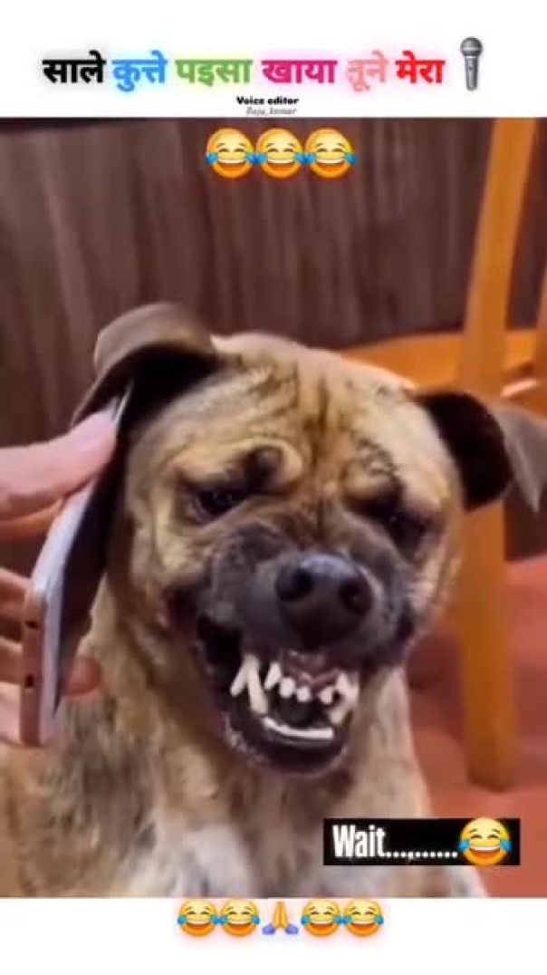 ठीक है भाई बात कर आता हूं 🤪😂🤣 (theek hai bhai Baat karata hun) _trendingreels _shorts _viral _instag