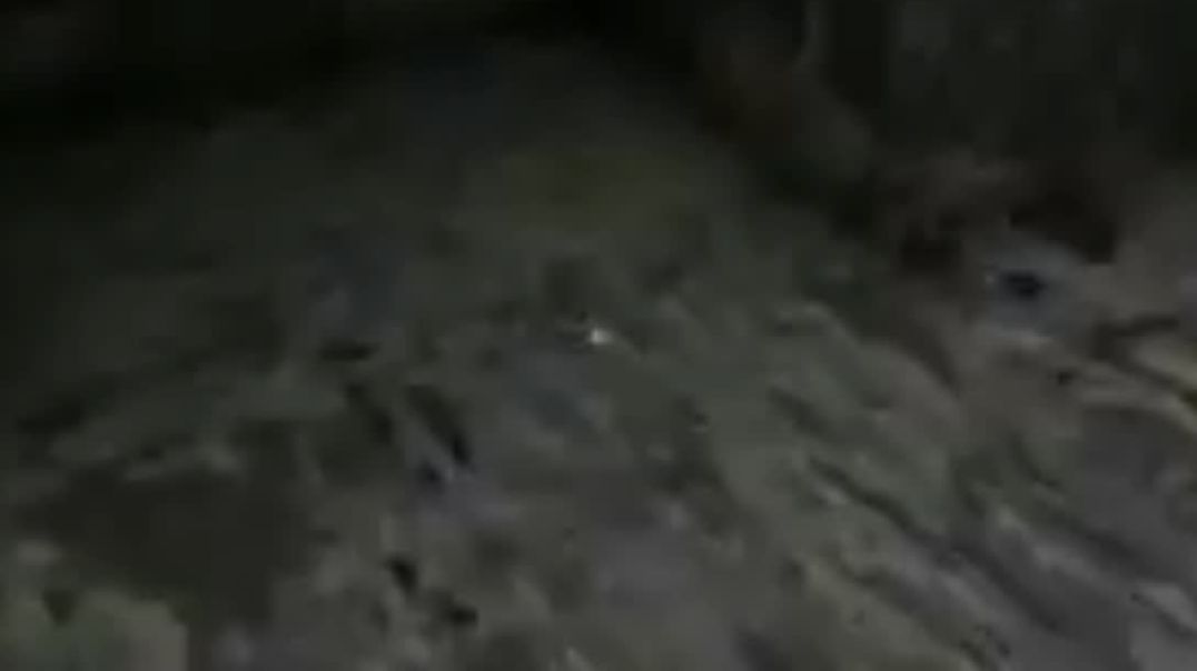 ⁣Granny spider escape