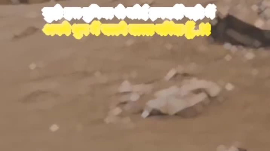 ⁣मुझे इस दुनिया से कोई हमदर्दी नही मैं अपने धुन में चलने वाला(