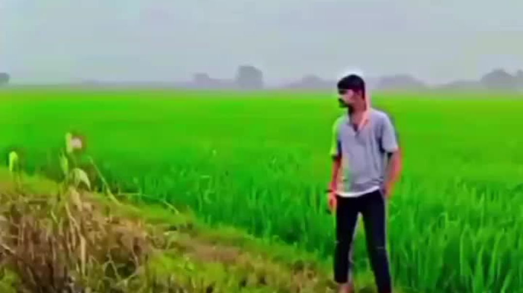 ⁣चौधरी प्रांशु यादव 👑👑