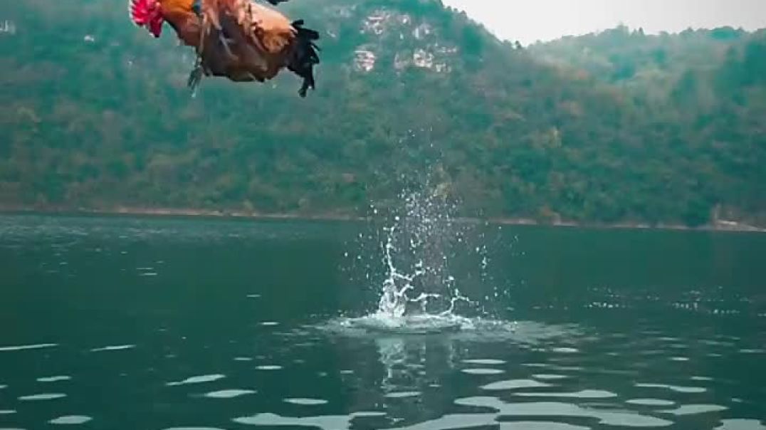 ⁣Fast food #viralvideo #shortvideo