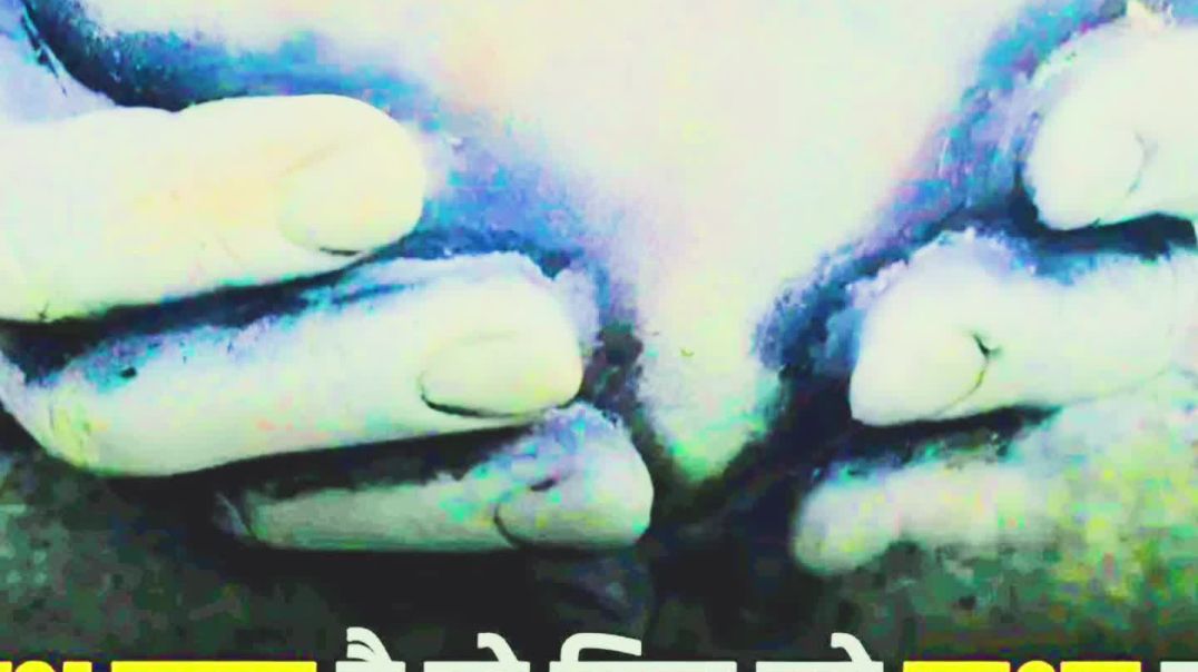 VID_20251215_002407_802_bsl