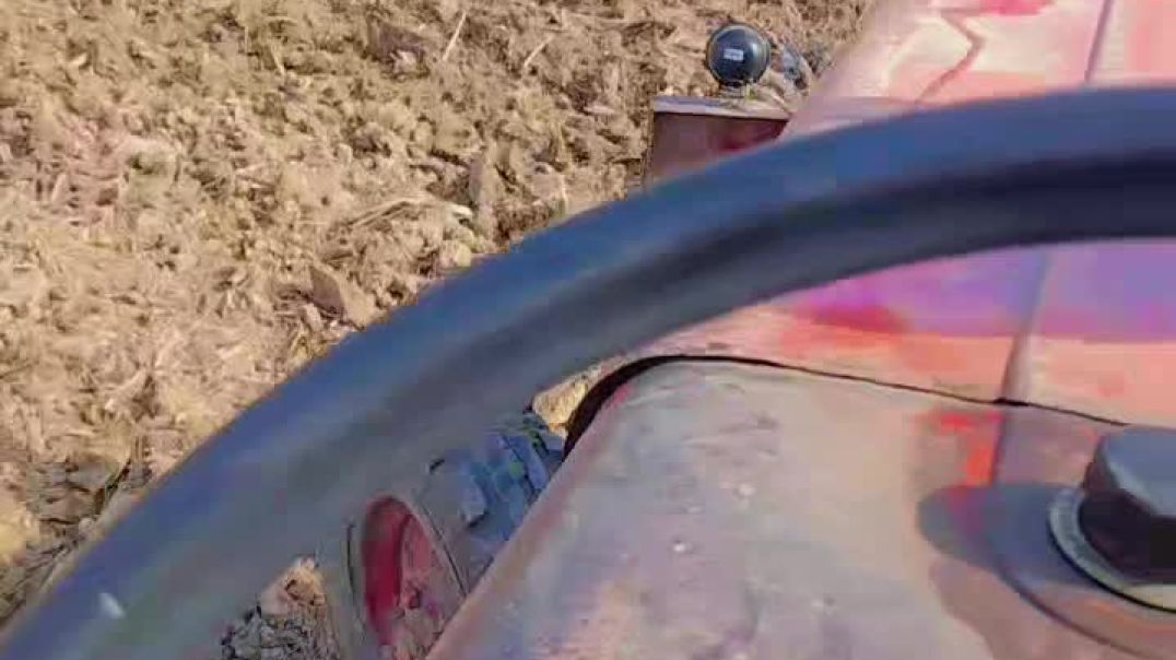 VID_20251203_234645_147