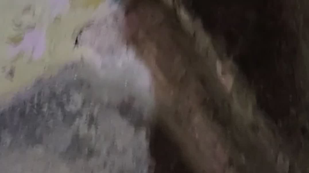 ⁣100Day challenge ka day 1