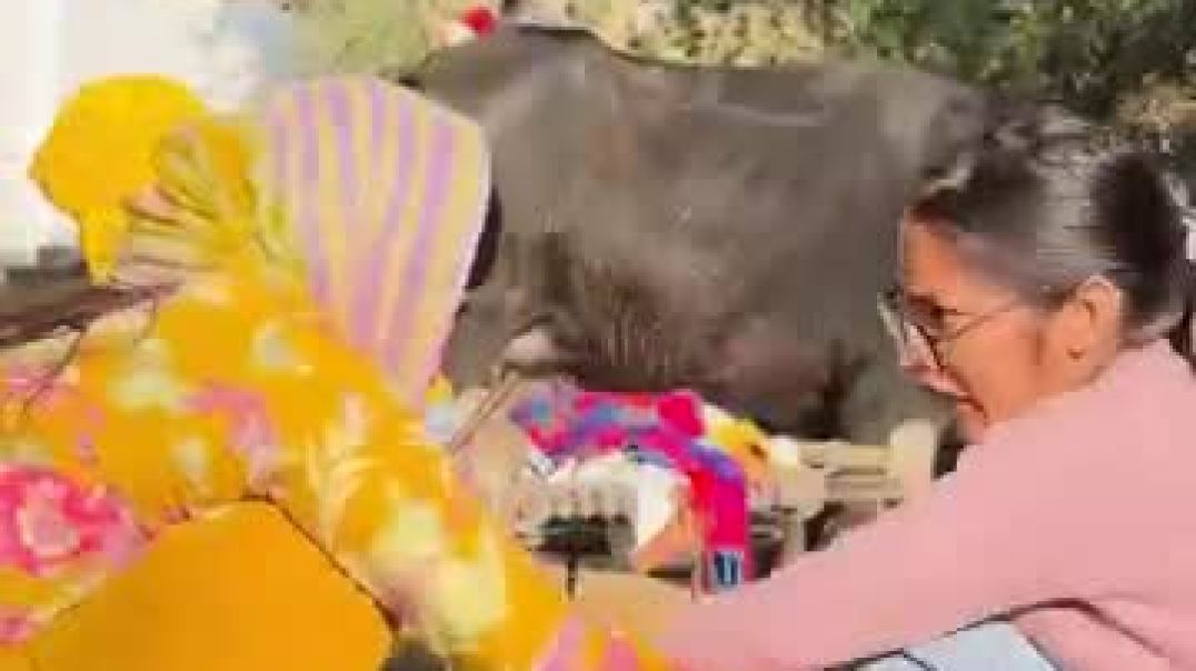 ⁣Wait for end😂 _chikayadav _funny _comedy(360P)