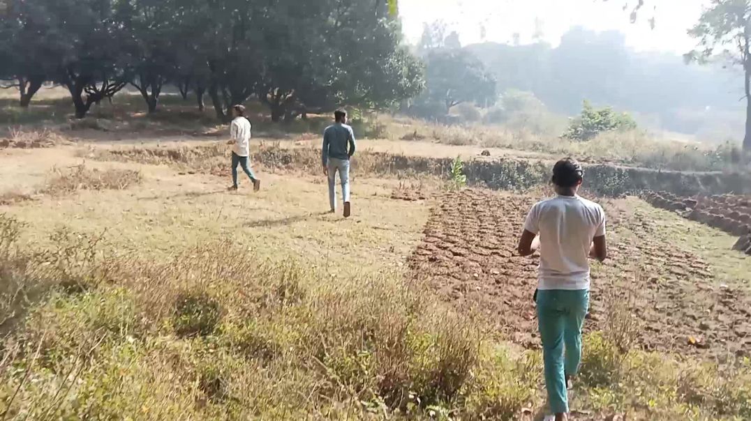 ⁣Monkey video viral