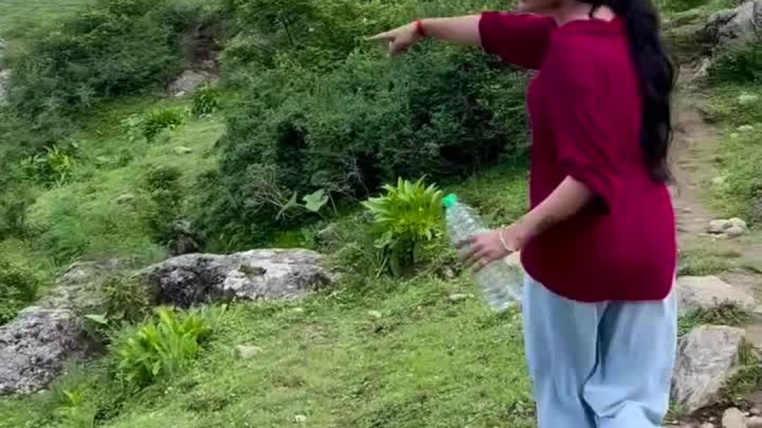 ⁣शेरनी ना अकेली घूमती है#shots #viral#video