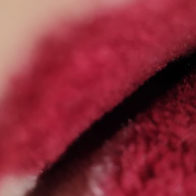 116927841707627883145