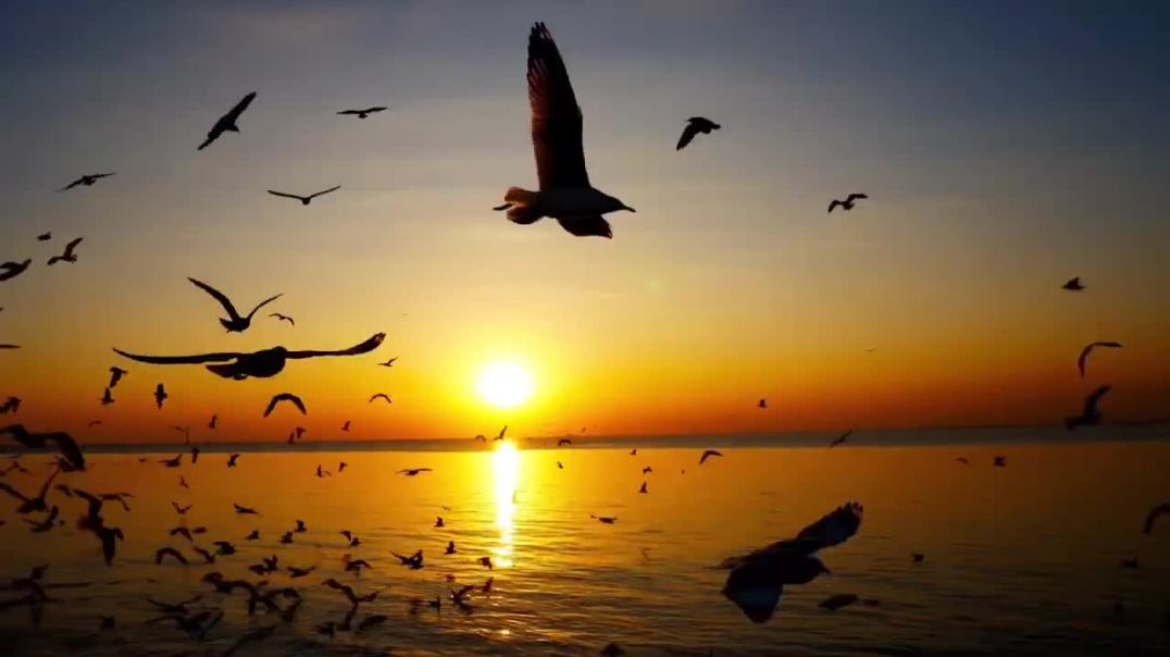 ⁣Relaxing Sleep Music + Insomnia _Stress Relief _ Relaxing Music _ Deep Sleeping Music