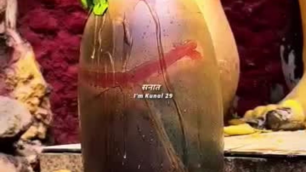 ⁣Mahadev_status_video_💫_bholenath_status_☘️_mahakal_status#mahadev_#shorts(360p)(2)