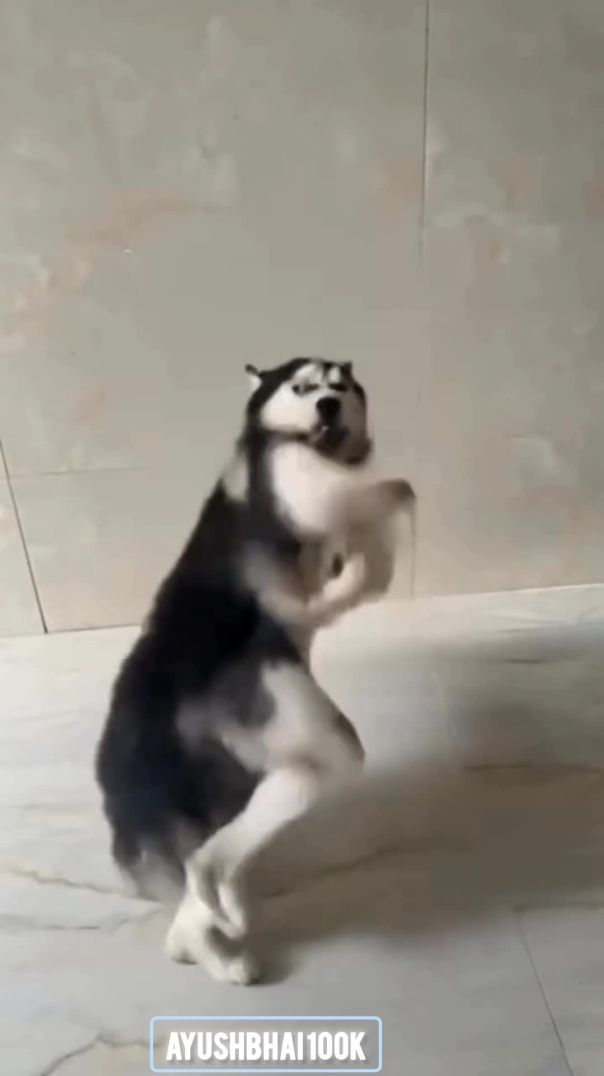 Haso aur hasao😂😂