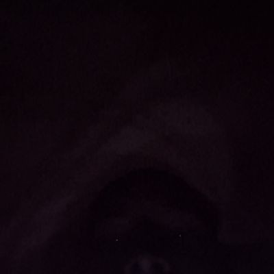 118413609516305852110 