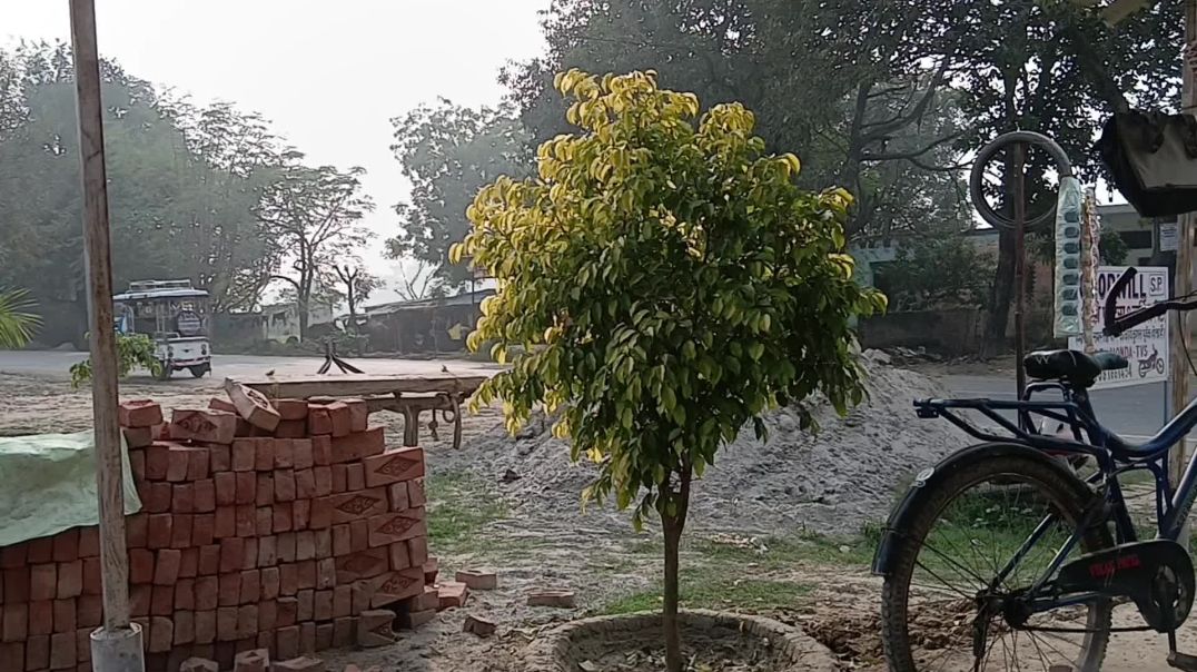 ⁣Volg village vibes funny