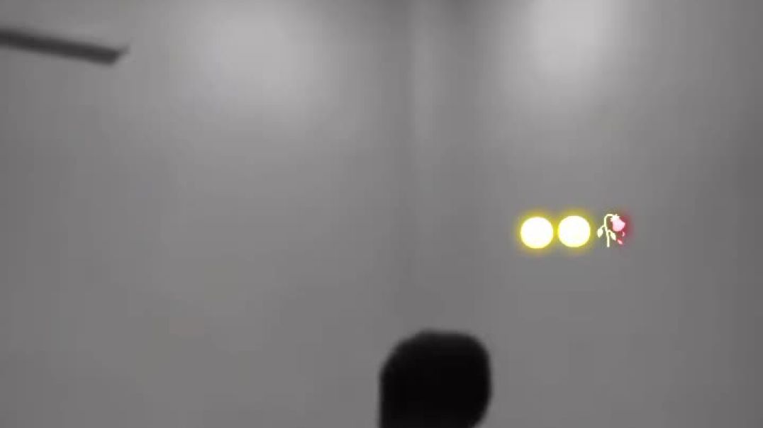 #😢🥀🕊❤️✨️___my____🦋❣️___miss______you______🥀😔😣👀💞🥀😞प्यार_एक🥀धोका_जिसे_कोई🥀नहीं_रोका😢