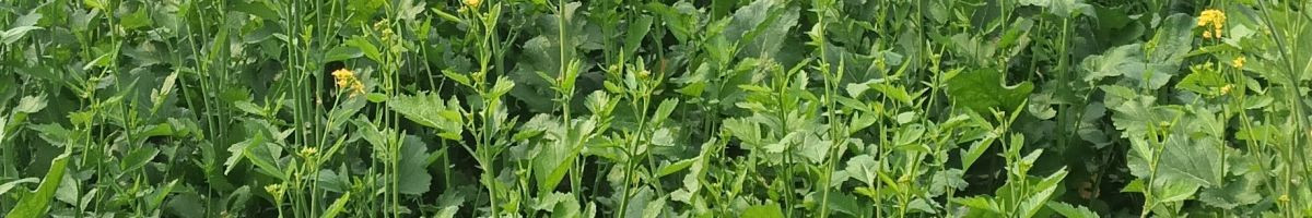 101993218121245572231 