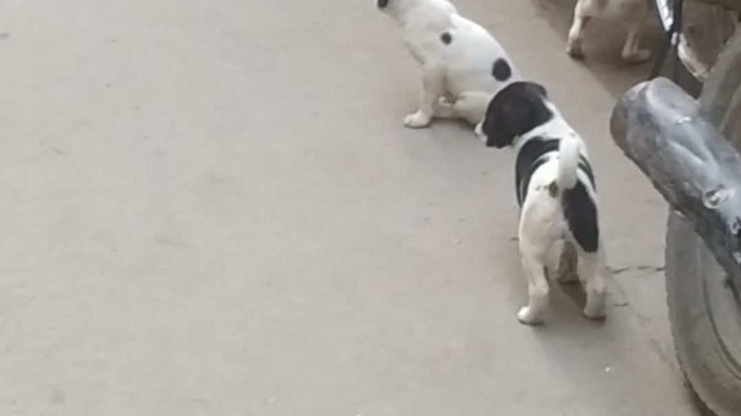 ⁣MY FIRST VIDEO 09/12/25 #1082112