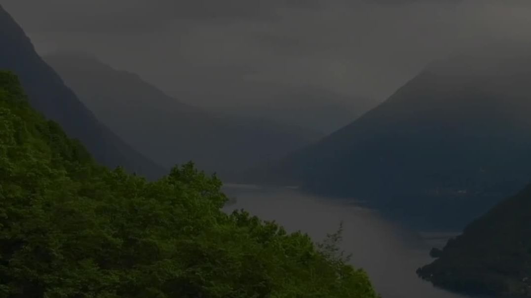 ⁣White Motivation Quotes mobile Video